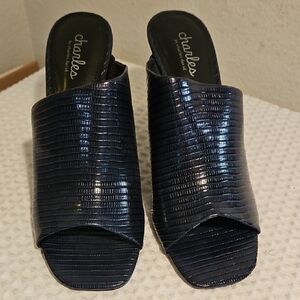 Charles David Navy Slides